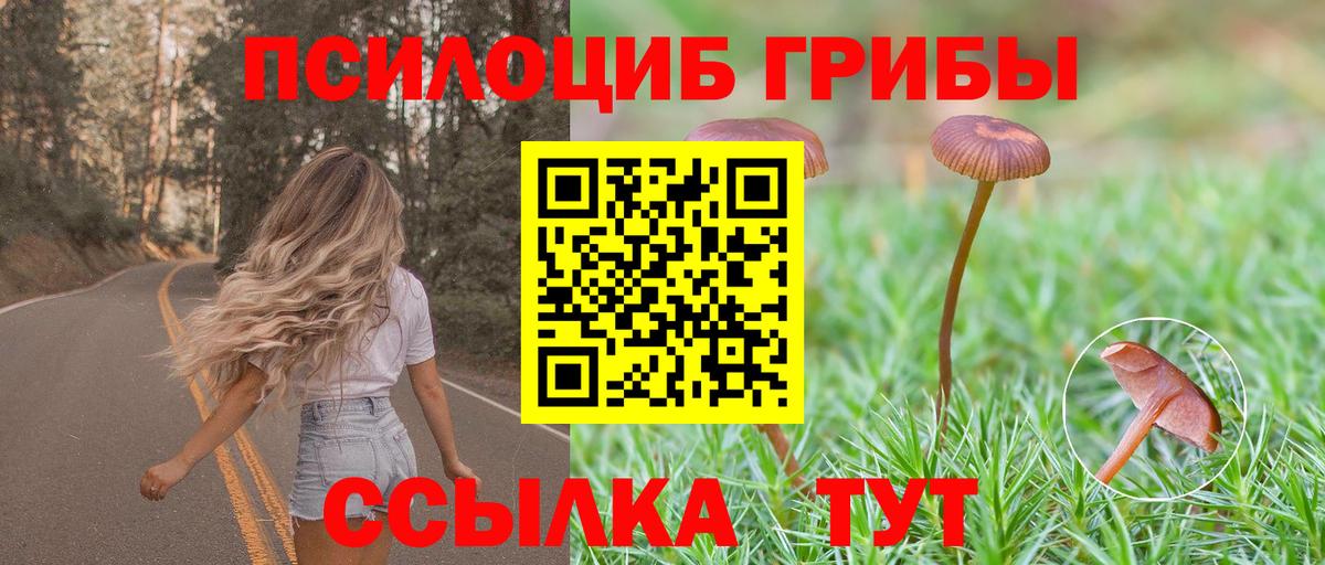Галлюциногенные грибы прущие грибы Симферополь