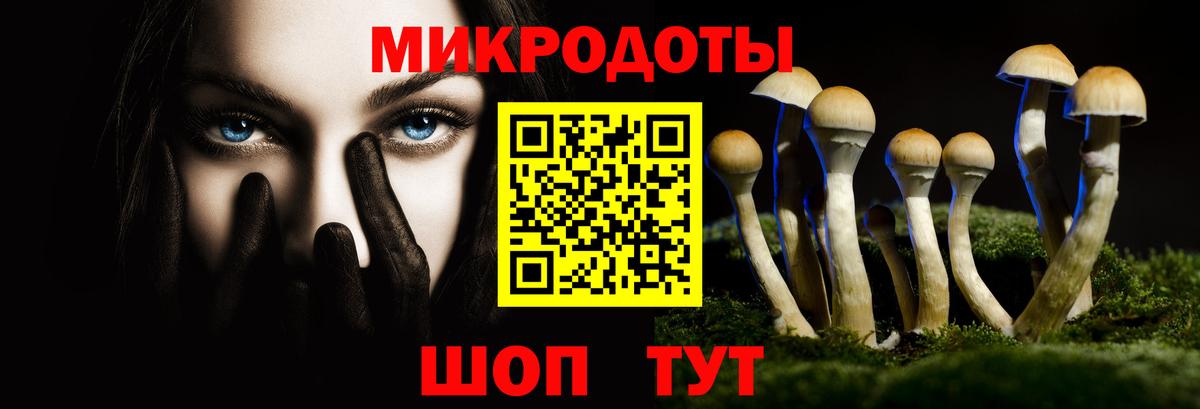 Псилоцибиновые грибы Psilocybe  Вход с VPN  Симферополь 